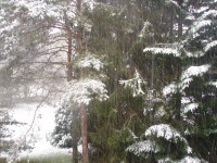 /album/galerie-de-photos/dsc02800-jpg/