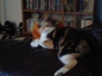 /album/galerie-de-photos/dsc02246-jpg/