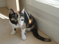 /album/galerie-de-photos/dsc02253-jpg/