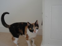 /album/galerie-de-photos/dsc02250-jpg/